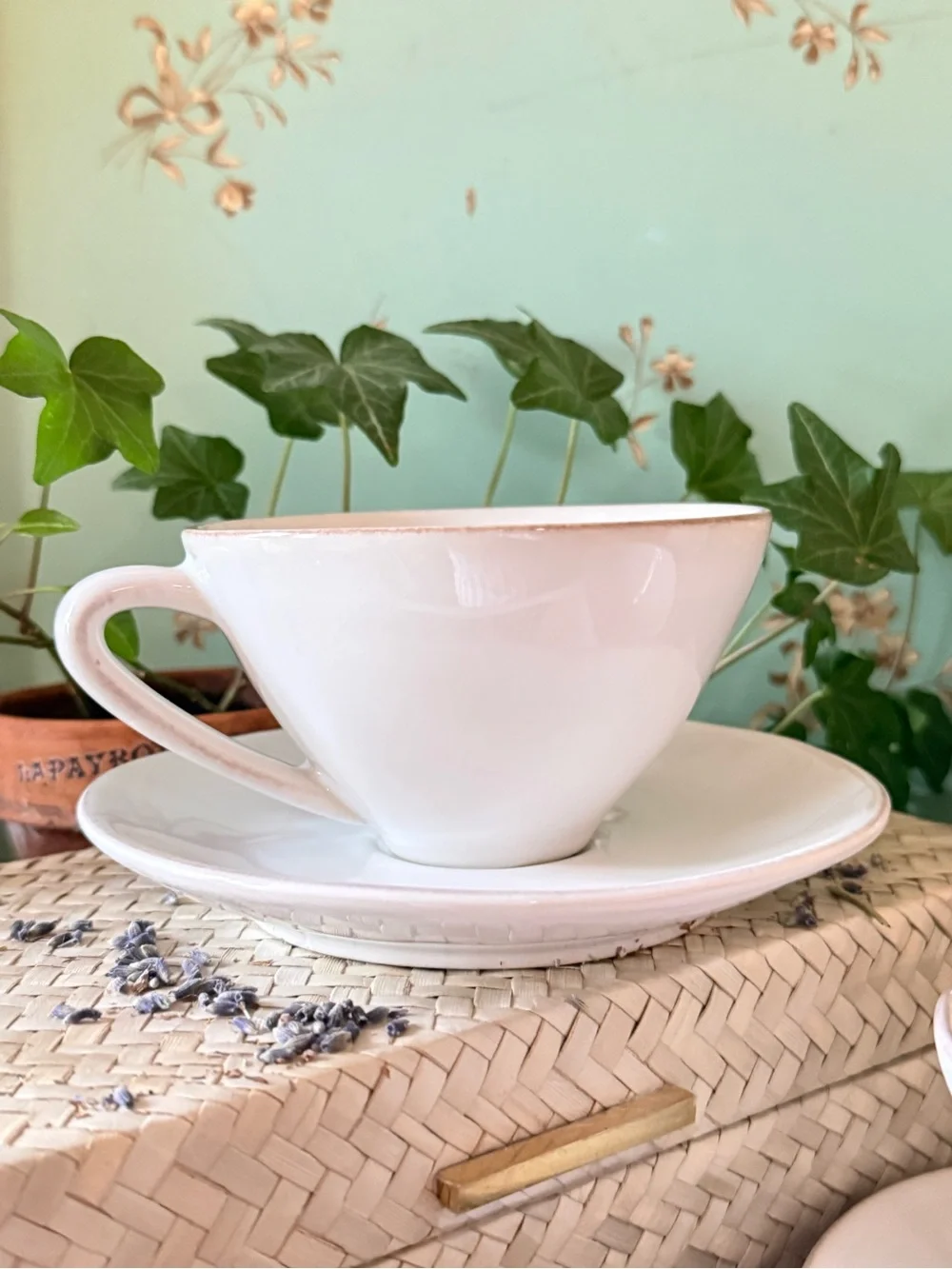 Crate & Barrel Marin 9.5-oz. White Stoneware Cappuccino Cups & Saucers, Set/2